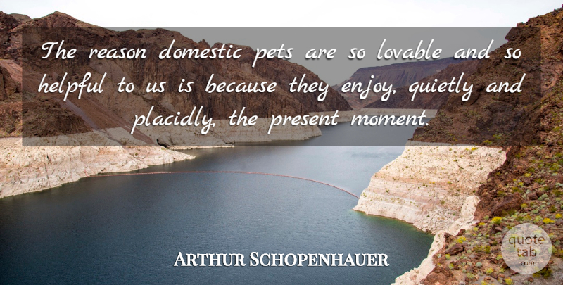 Arthur Schopenhauer Quote About Cat, Pet, Helpful: The Reason Domestic Pets Are...