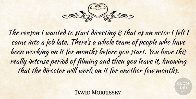 David Morrissey Quote About Came, Directing, Director, Felt, Few: The Reason I Wanted To...