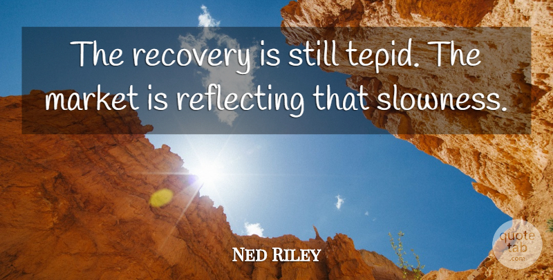 Ned Riley Quote About Market, Recovery, Reflecting: The Recovery Is Still Tepid...