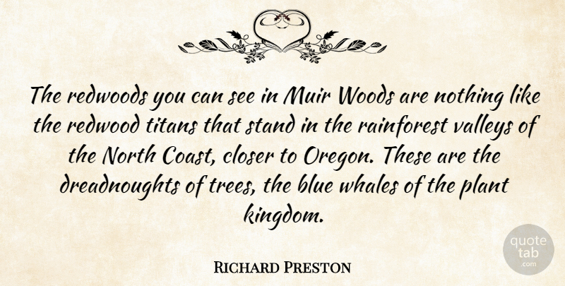 Richard Preston Quote About Closer, North, Plant, Stand, Titans: The Redwoods You Can See...