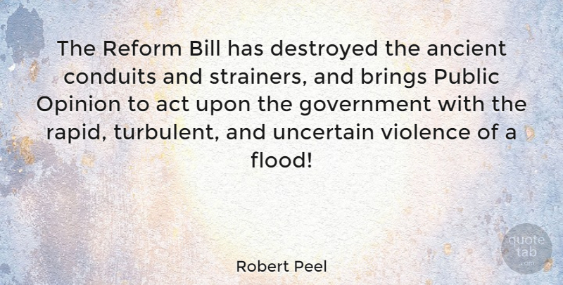 Robert Peel Quote About Government, Bills, Violence: The Reform Bill Has Destroyed...