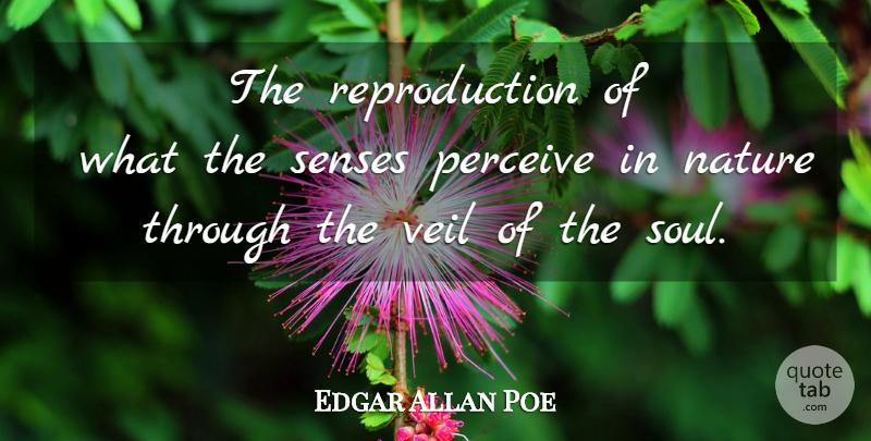 Edgar Allan Poe Quote About Soul, Veils, Perceive: The Reproduction Of What The...