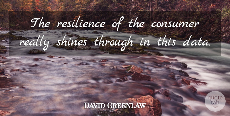 David Greenlaw Quote About Consumer, Resilience, Shines: The Resilience Of The Consumer...