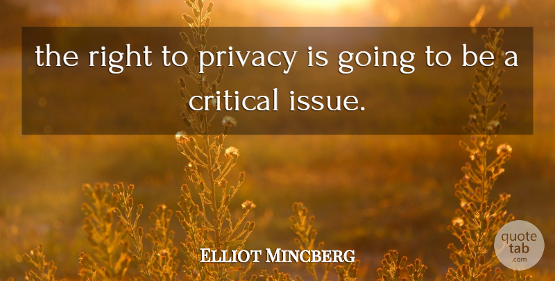 Elliot Mincberg Quote About Critical, Privacy: The Right To Privacy Is...
