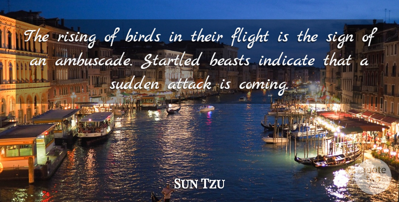 Sun Tzu Quote About Bird, Rising, Flight: The Rising Of Birds In...
