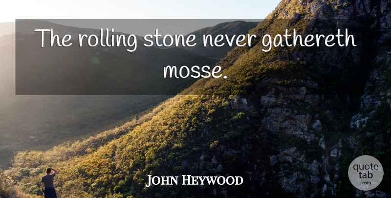 John Heywood Quote About Stones, Rolling, Rolling Stones: The Rolling Stone Never Gathereth...