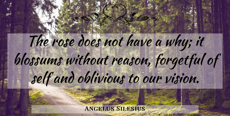 Angelus Silesius Quote About Self, Rose, Vision: The Rose Does Not Have...