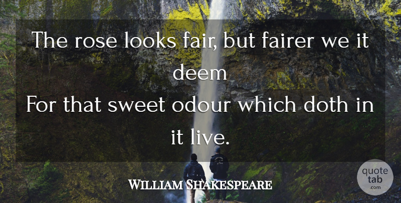William Shakespeare Quote About Sweet, Rose, Thorns: The Rose Looks Fair But...