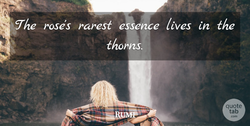 Rumi Quote About Essence, Rose, Thorns: The Roses Rarest Essence Lives...