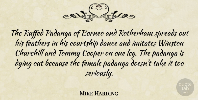 Mike Harding Quote About Churchill, Cooper, Courtship, Dance, Dying: The Ruffed Padanga Of Borneo...