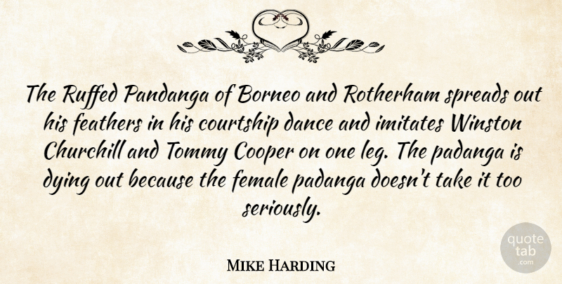 Mike Harding Quote About Humorous, Dying, Legs: The Ruffed Pandanga Of Borneo...