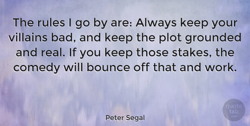 Peter Segal Quote About Bounce, Grounded, Plot, Villains, Work: The Rules I Go By...