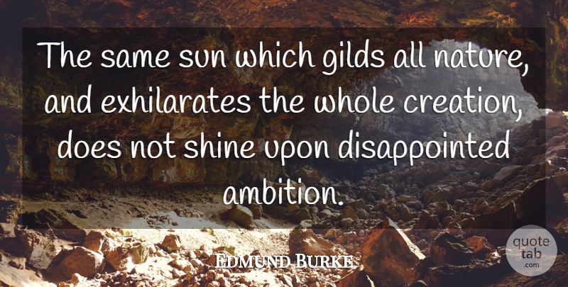 Edmund Burke Quote About Ambition, Shining, Sun: The Same Sun Which Gilds...