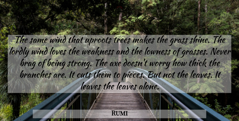 Rumi Quote About Strong, Cutting, Wind: The Same Wind That Uproots...