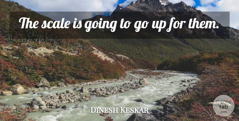 Dinesh Keskar Quote About Scale: The Scale Is Going To...