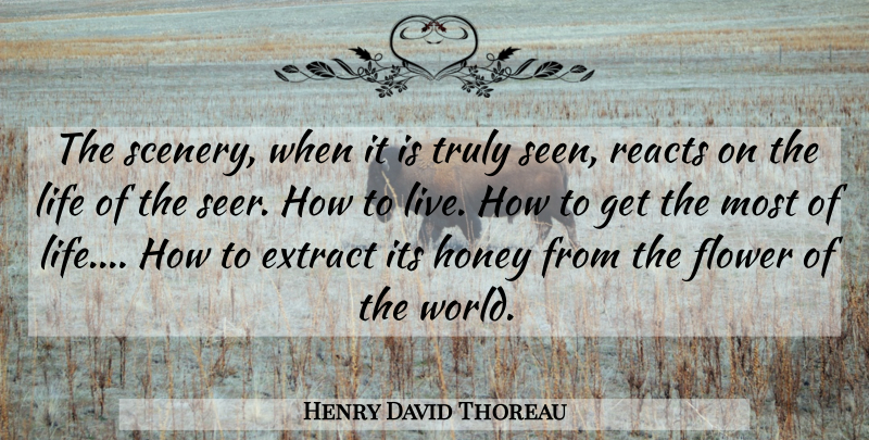 Henry David Thoreau Quote About Flower, World, Honey: The Scenery When It Is...