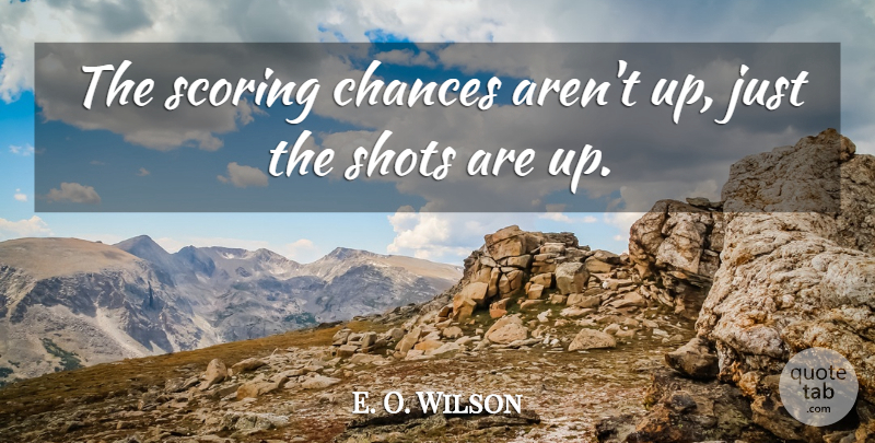E. O. Wilson Quote About Chances, Scoring, Shots: The Scoring Chances Arent Up...