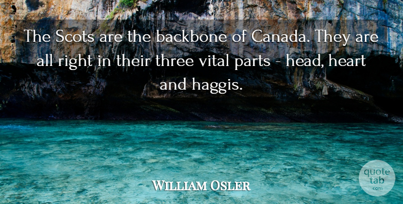 William Osler Quote About Heart, Canada, Three: The Scots Are The Backbone...