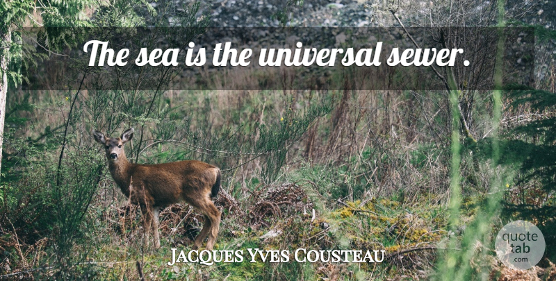 Jacques Yves Cousteau Quote About Ocean, Sea, Conservation: The Sea Is The Universal...