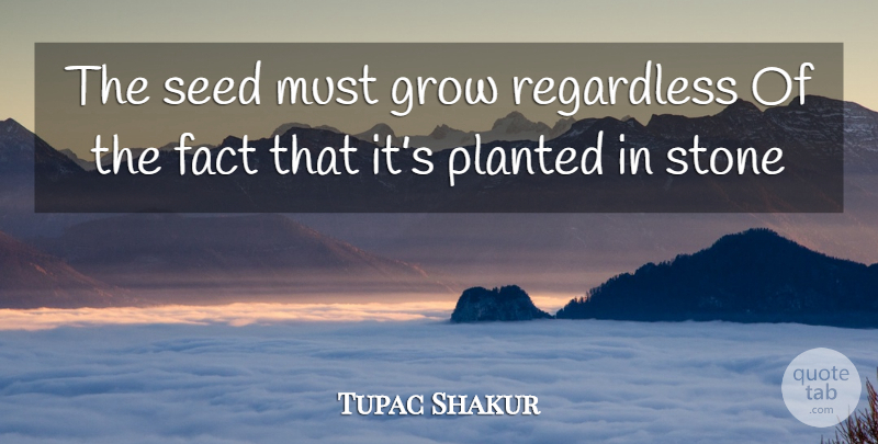 Tupac Shakur Quote About Facts, Stones, Grows: The Seed Must Grow Regardless...