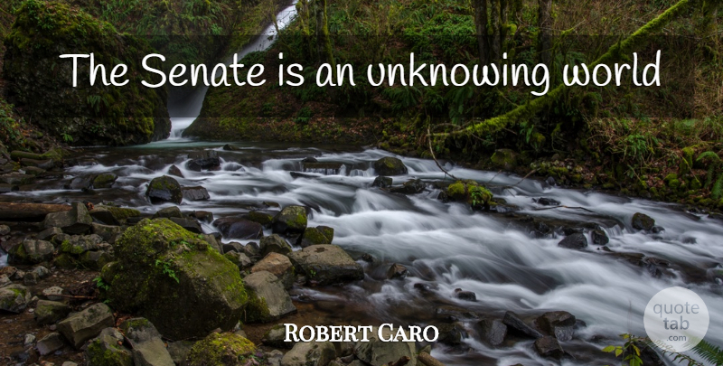 Robert Caro Quote About World, Senate, Unknowing: The Senate Is An Unknowing...