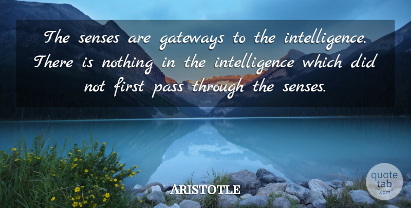 Aristotle Quote About Firsts, Gateways, Senses: The Senses Are Gateways To...