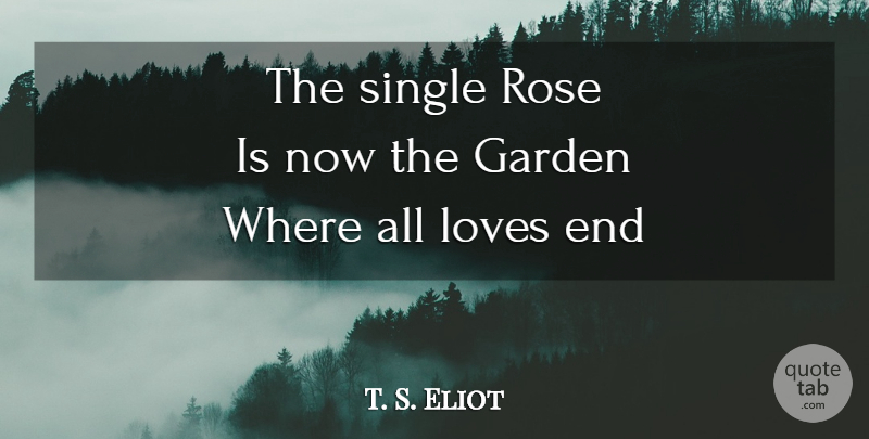 T. S. Eliot Quote About Life, Garden, Single Rose: The Single Rose Is Now...