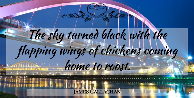 James Callaghan Quote About Black, Chickens, Coming, Home, Sky: The Sky Turned Black With...