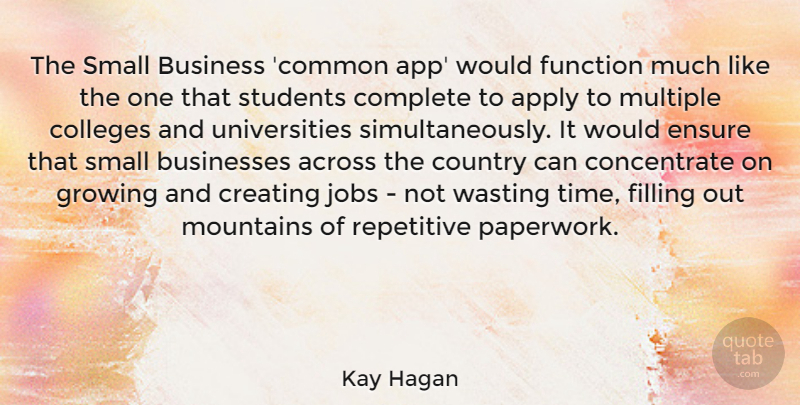 Kay Hagan Quote About Country, Jobs, College: The Small Business Common App...