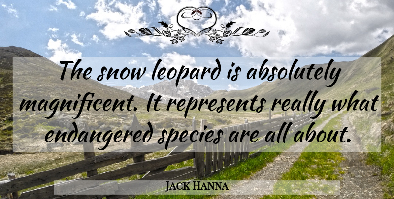 Jack Hanna Quote About Snow, Leopards, Endangered Species: The Snow Leopard Is Absolutely...