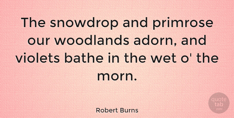 Robert Burns Quote About Flower, Violet, Snowdrops: The Snowdrop And Primrose Our...