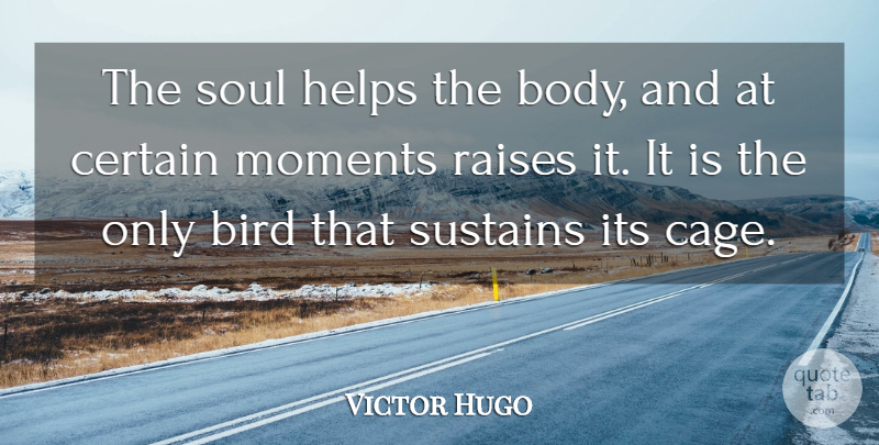 Victor Hugo Quote About Bird, Soul, Body: The Soul Helps The Body...