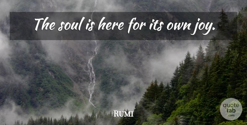 Rumi Quote About Life, Spiritual, Wisdom: The Soul Is Here For...
