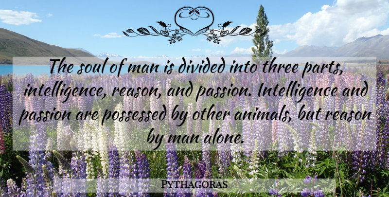 Pythagoras Quote About Passion, Men, Animal: The Soul Of Man Is...