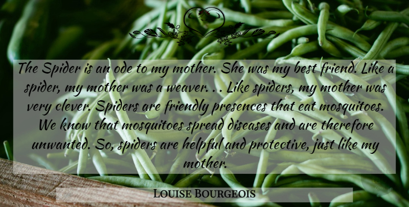 Louise Bourgeois Quote About Mother, Clever, Friendly: The Spider Is An Ode...