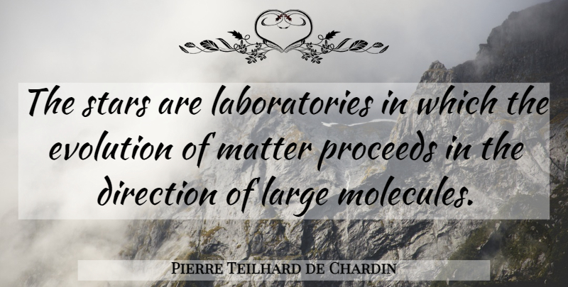 Pierre Teilhard de Chardin Quote About Stars, Matter, Molecules: The Stars Are Laboratories In...