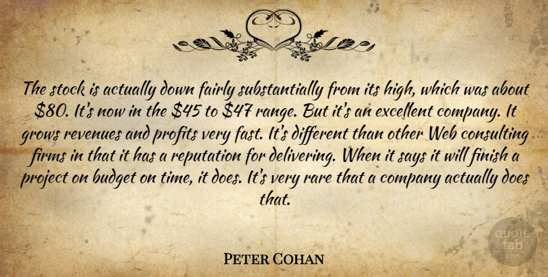 Peter Cohan Quote About Budget, Company, Consulting, Excellent, Fairly: The Stock Is Actually Down...