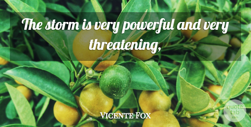 Vicente Fox Quote About Powerful, Storm: The Storm Is Very Powerful...