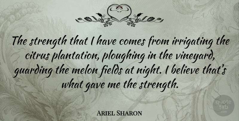 Ariel Sharon Quote About Believe, Night, Vineyards: The Strength That I Have...