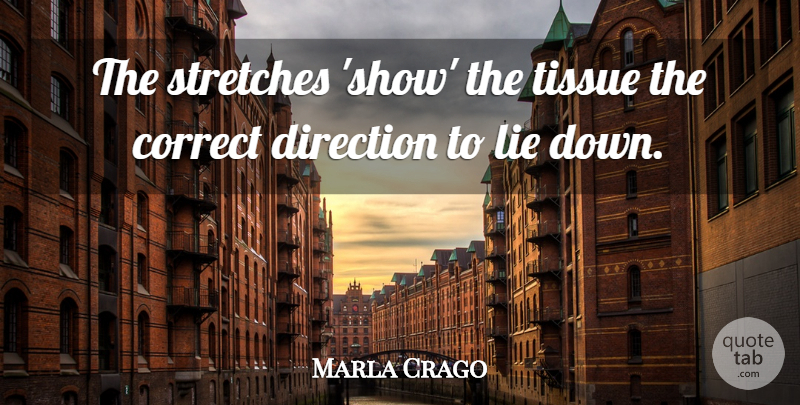 Marla Crago Quote About Correct, Direction, Lie, Tissue: The Stretches Show The Tissue...