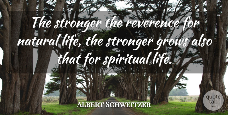 Albert Schweitzer Quote About Spiritual, Stronger, Reverence For Life: The Stronger The Reverence For...