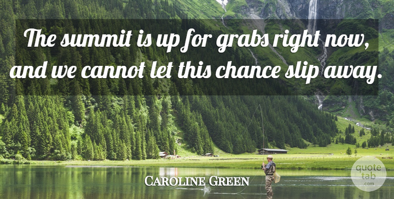 Caroline Green Quote About Cannot, Chance, Slip, Summit: The Summit Is Up For...