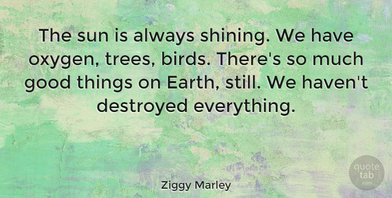 Ziggy Marley Quote About Oxygen, Bird, Tree: The Sun Is Always Shining...