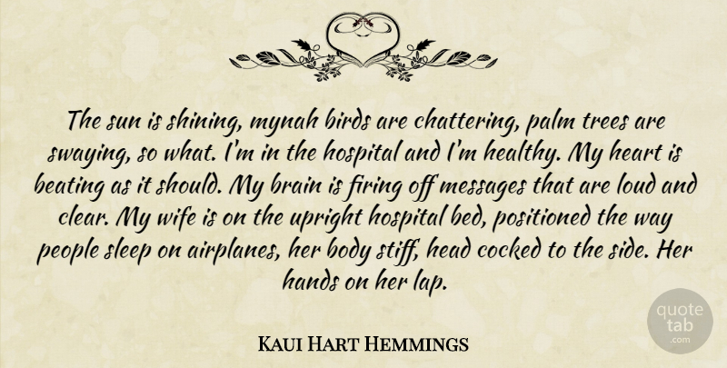 Kaui Hart Hemmings Quote About Heart, Airplane, Sleep: The Sun Is Shining Mynah...