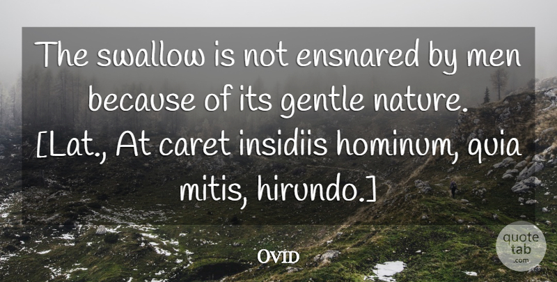 Ovid Quote About Men, Gentle, Gentleness: The Swallow Is Not Ensnared...