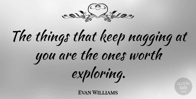 Evan Williams Quote About Nagging, Exploring: The Things That Keep Nagging...