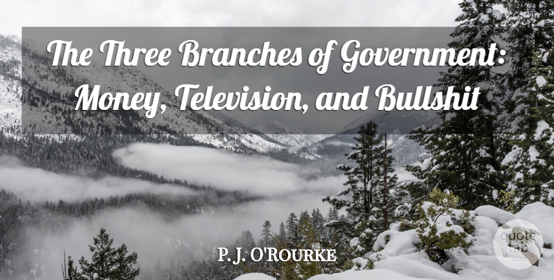 P. J. O'Rourke Quote About Government, Bullshit, Television: The Three Branches Of Government...