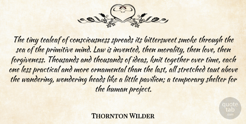 Thornton Wilder Quote About Above, Consciousness, Heads, Human, Knit: The Tiny Tealeaf Of Consciousness...