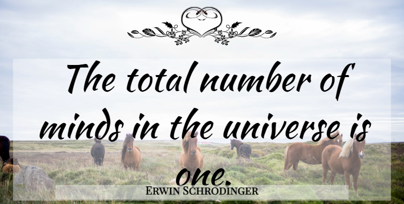 Erwin Schrodinger Quote About Numbers, Mind, Universe: The Total Number Of Minds...