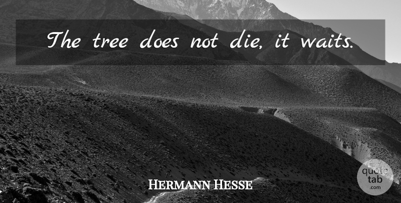 Hermann Hesse Quote About Tree, Waiting, Doe: The Tree Does Not Die...